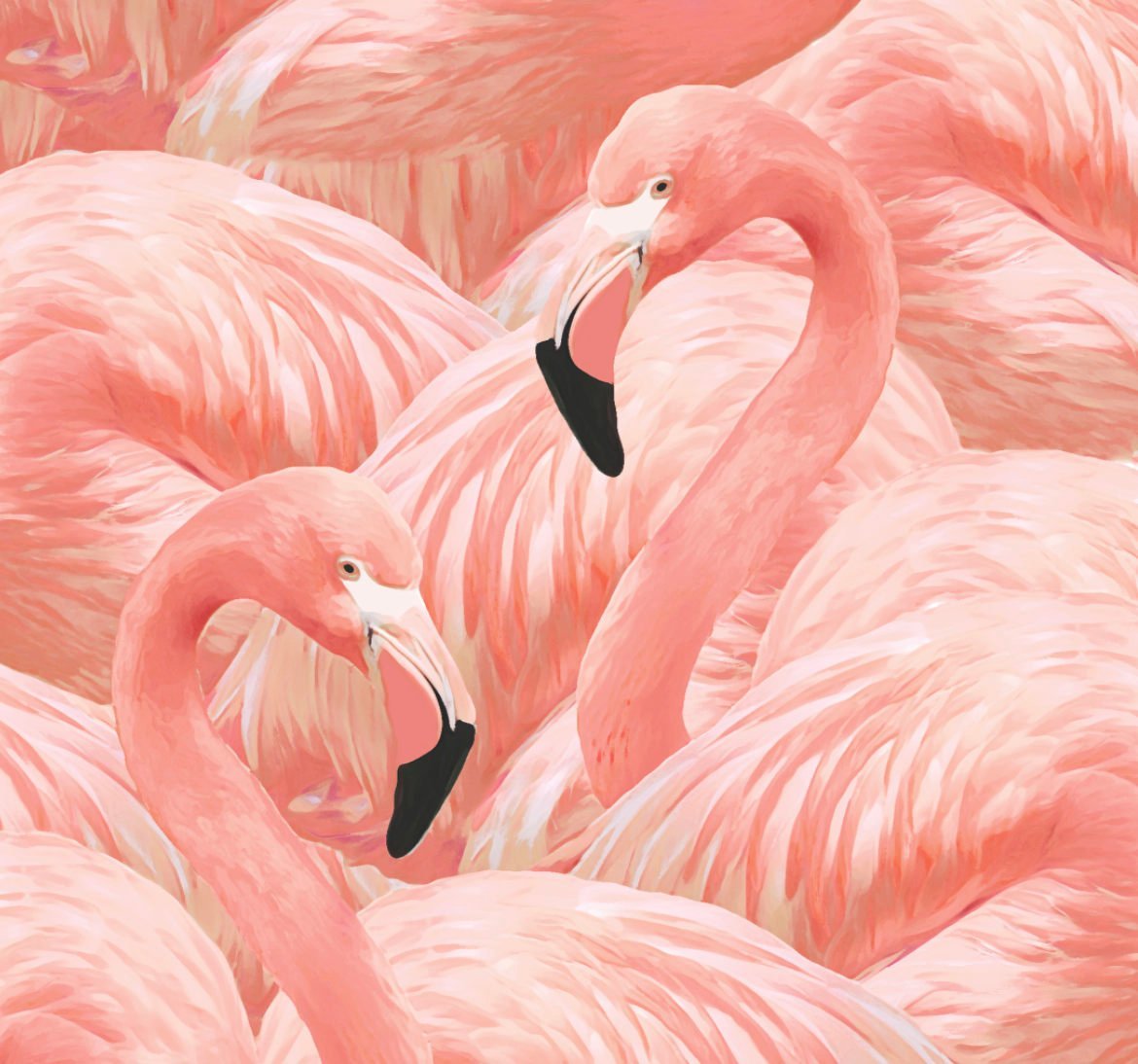 Flamingo | Pink | Wallpaperie
