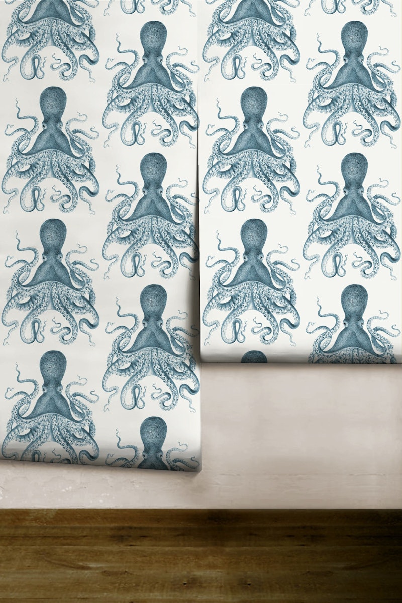 Octopus | Indigo
