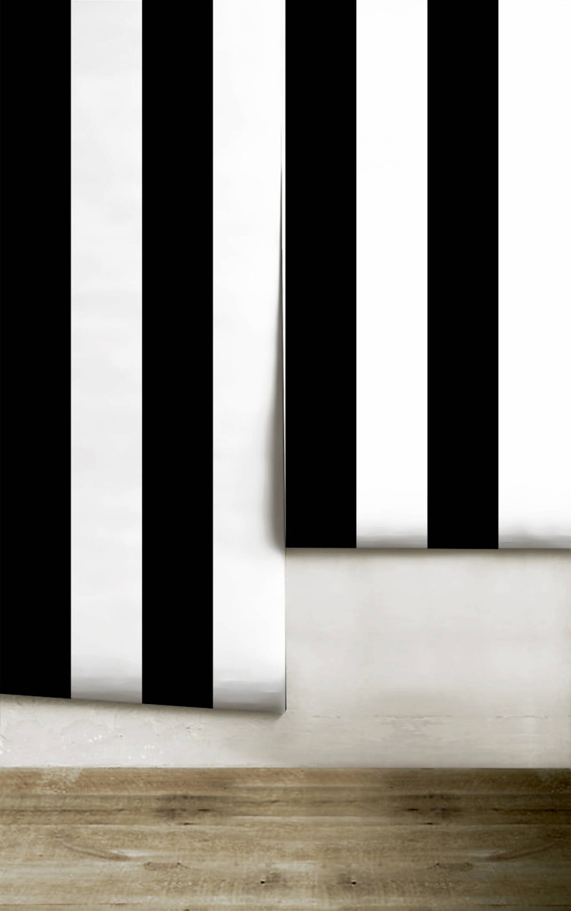 Canopy Black and White Stripes